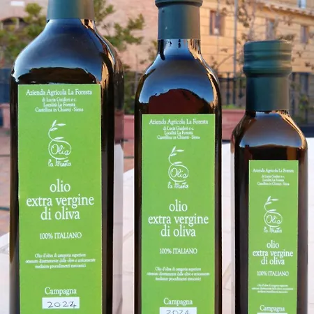 La Foresta-4 By Interhome Apartment