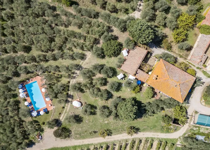 Appartement La Foresta-4 By Interhome Quercegrossa