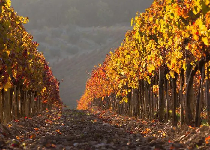 La Foresta-4 By Interhome * Quercegrossa