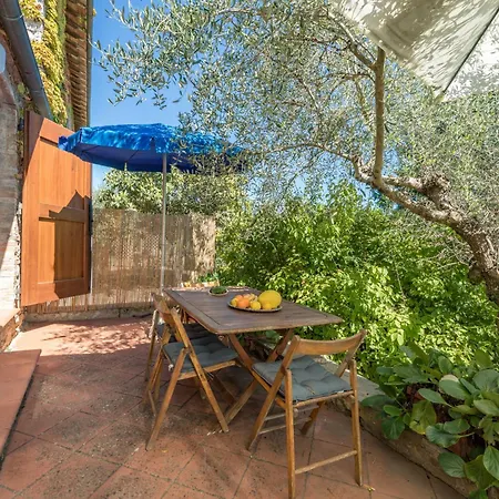 La Foresta-4 By Interhome Apartment Quercegrossa